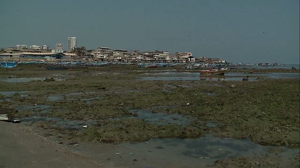 Armada descarta tsunami tras recogimiento del mar en sectores de la Costa