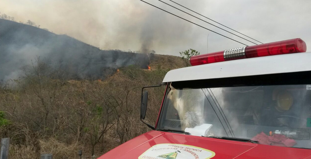Se registra un incendio forestal en el cerro Azul de Guayaquil