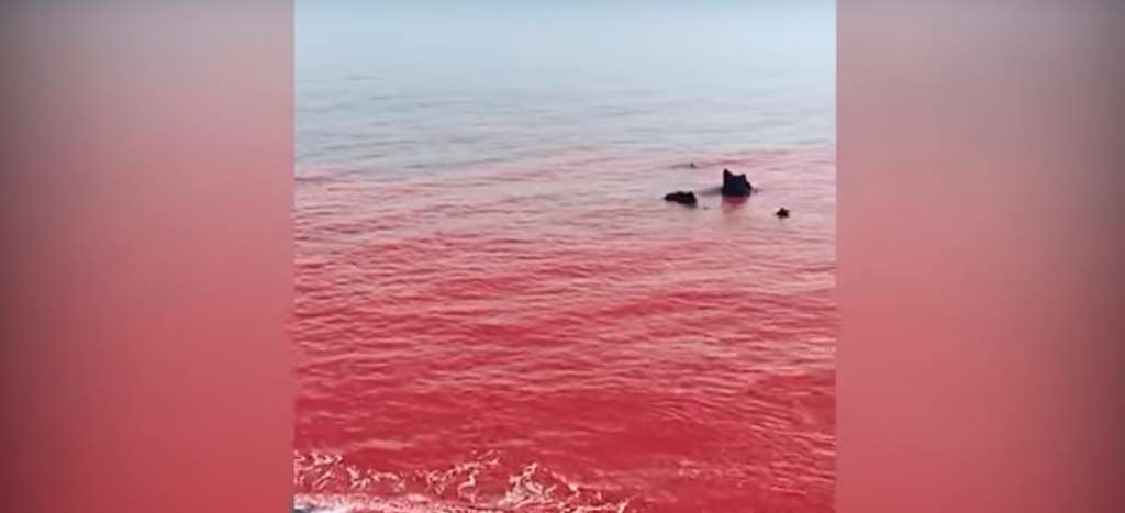 La extraña &quot;marea de sangre&quot; en costas de Irán