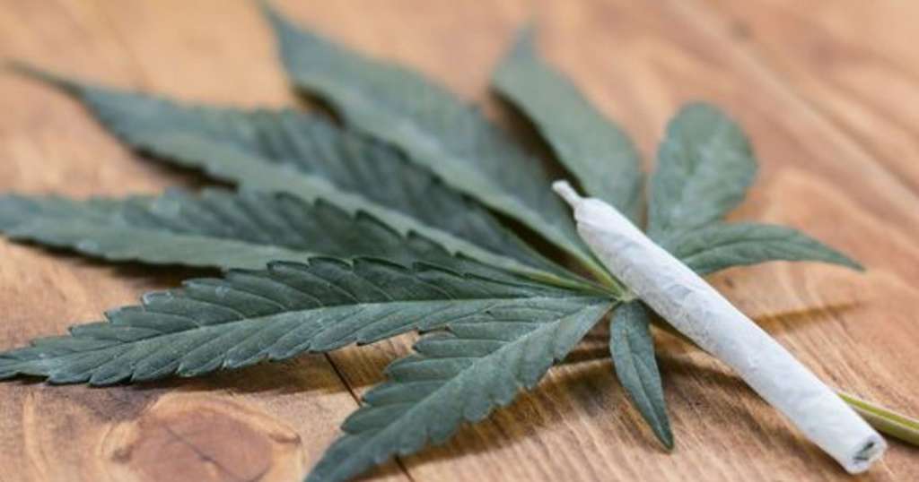 Canadá: médicos advierten riesgos por legalización del cannabis