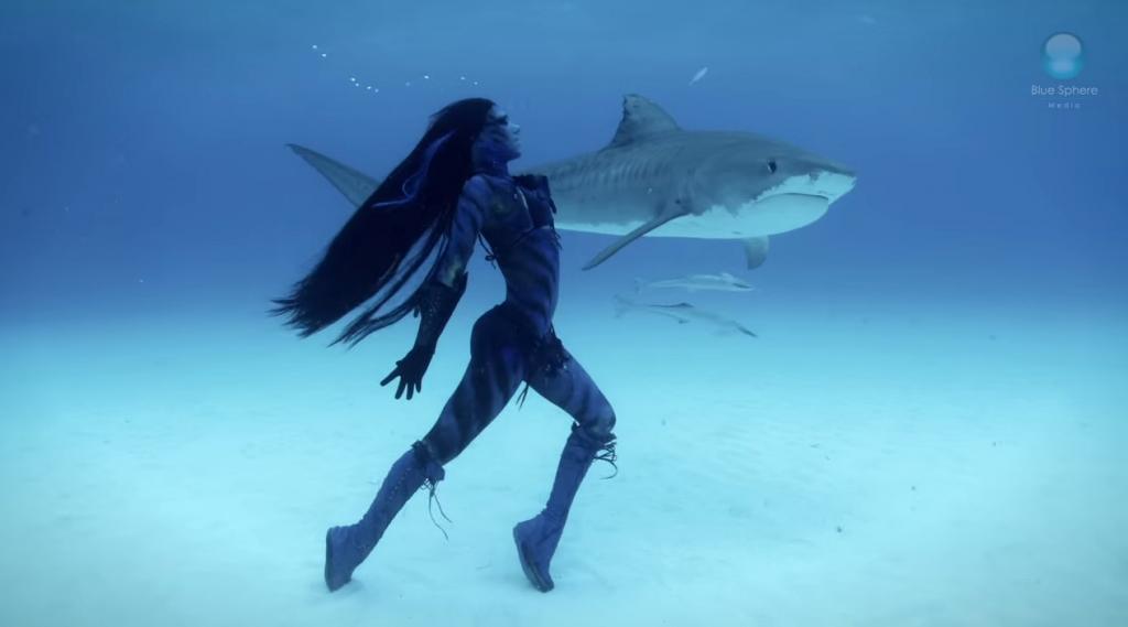Una mujer baila cerca de tiburones como protesta