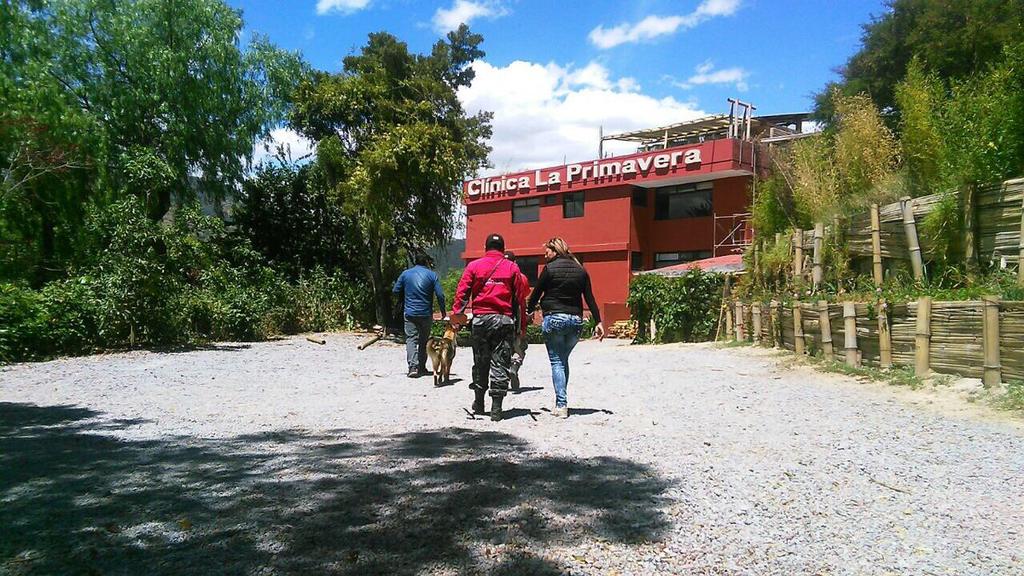 Autoridades allanaron Clínica La Primavera en Quito