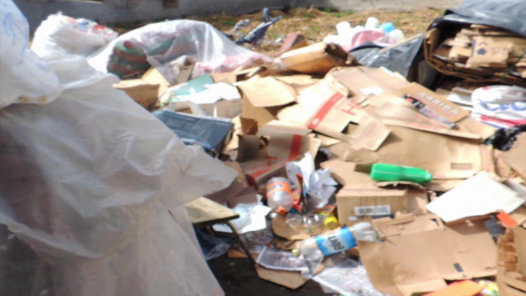 Economía: La economía del reciclaje: dinero disfrazado de basura - UDLA Quito