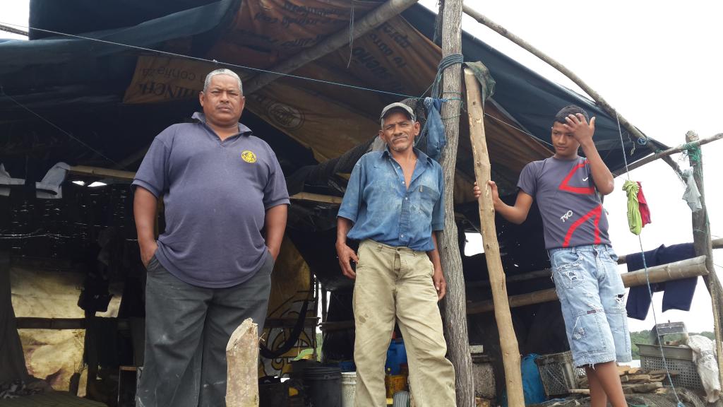 La ancestral labor de los pescadores del estuario del río Guayas