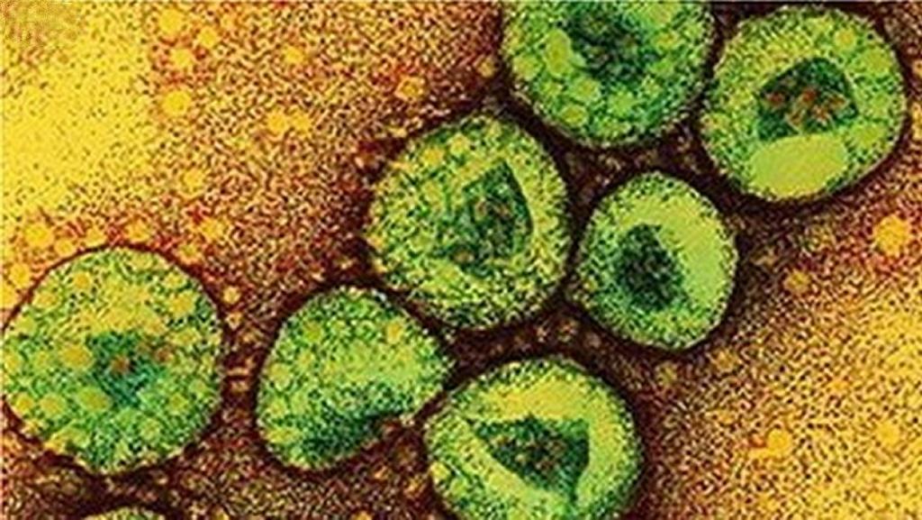 Dos casos mortales de coronavirus MERS en Corea del Sur