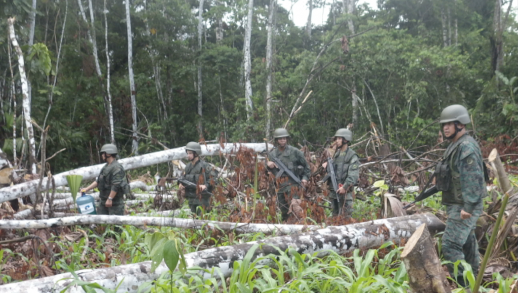 Descubren plantaciones de coca en el Parque Nacional Yasuní