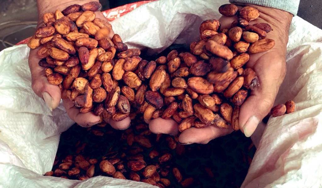 Moreno lanza Acuerdo Nacional por el Cacao
