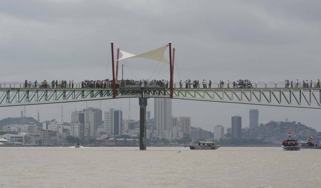 VIDEO: Recorra la isla Santay, un paraíso a 10 minutos de Guayaquil