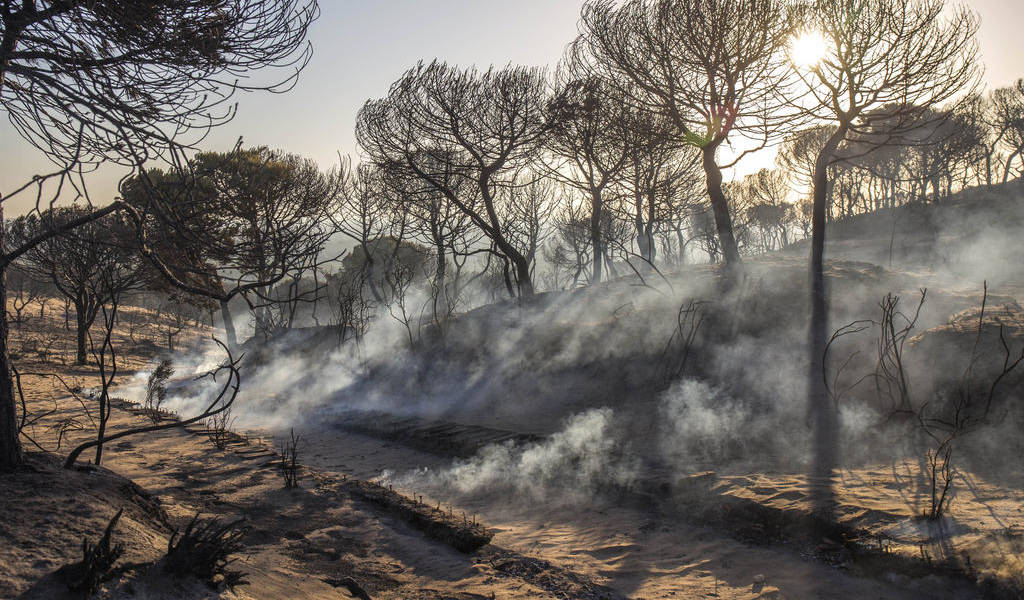España combate grave incendio en reserva protegida