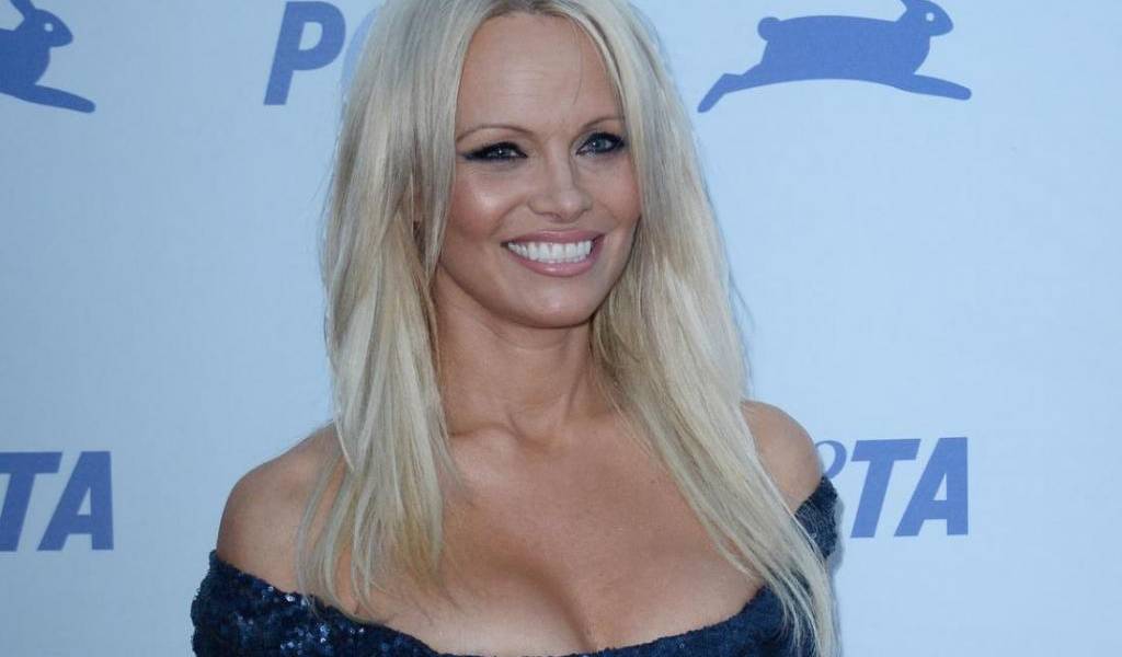Pamela Anderson asegura que le encantaría ser &quot;la primera dama de Assange&quot;