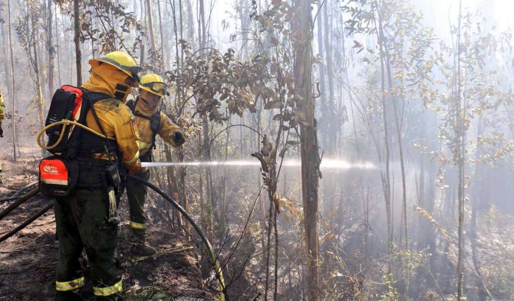 Incendio forestal en Quito controlado tras 27 horas