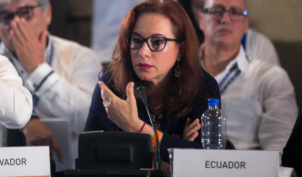Ecuador pidió revisar procedimientos de cara a reunión de la OEA