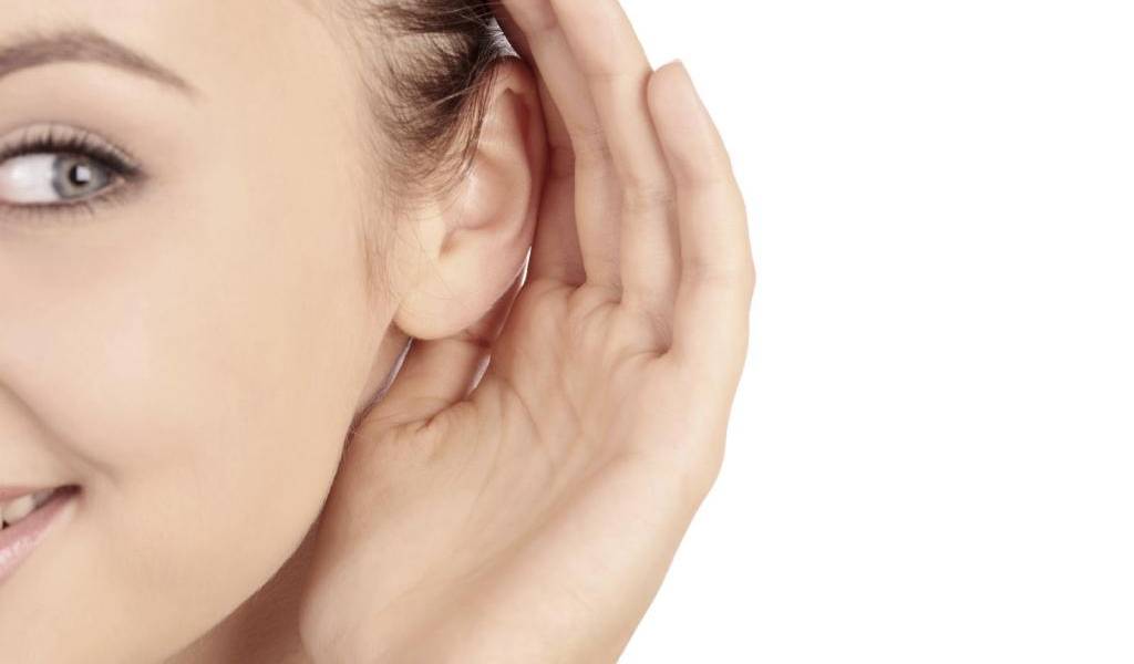 Así el cerebro ordena al oído a regular el volumen del sonido