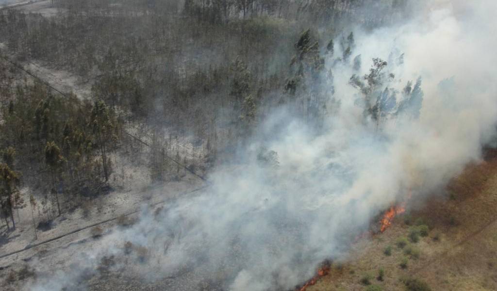 Incendio forestal en Pifo fue controlado