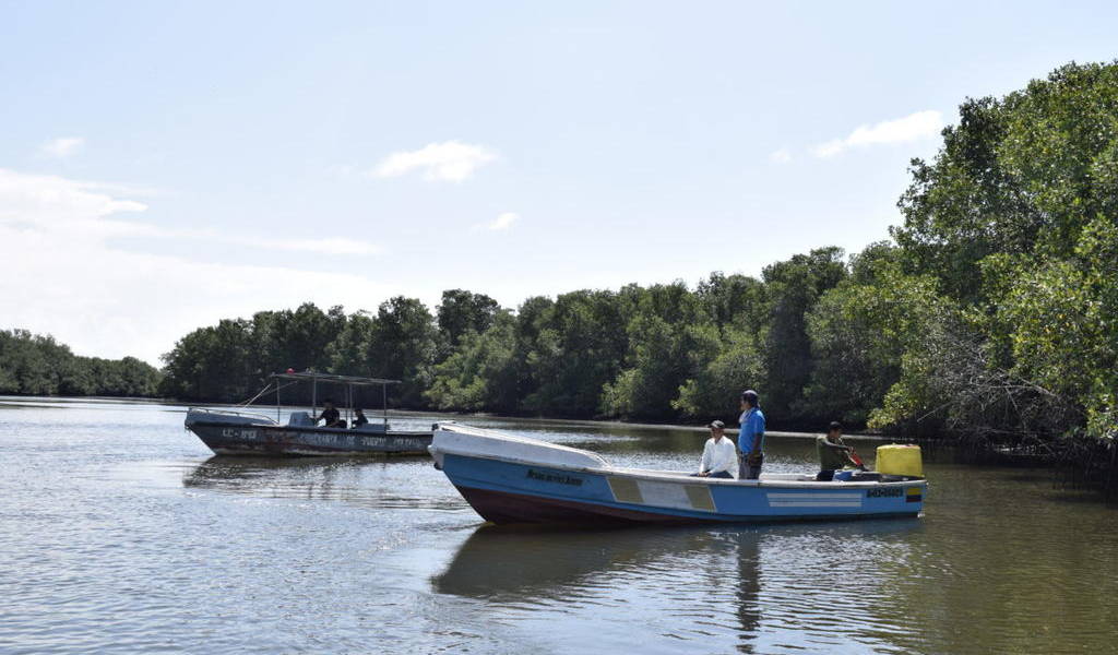 Barco industrial ecuatoriano fue detenido con lobos marinos y tortugas verdes