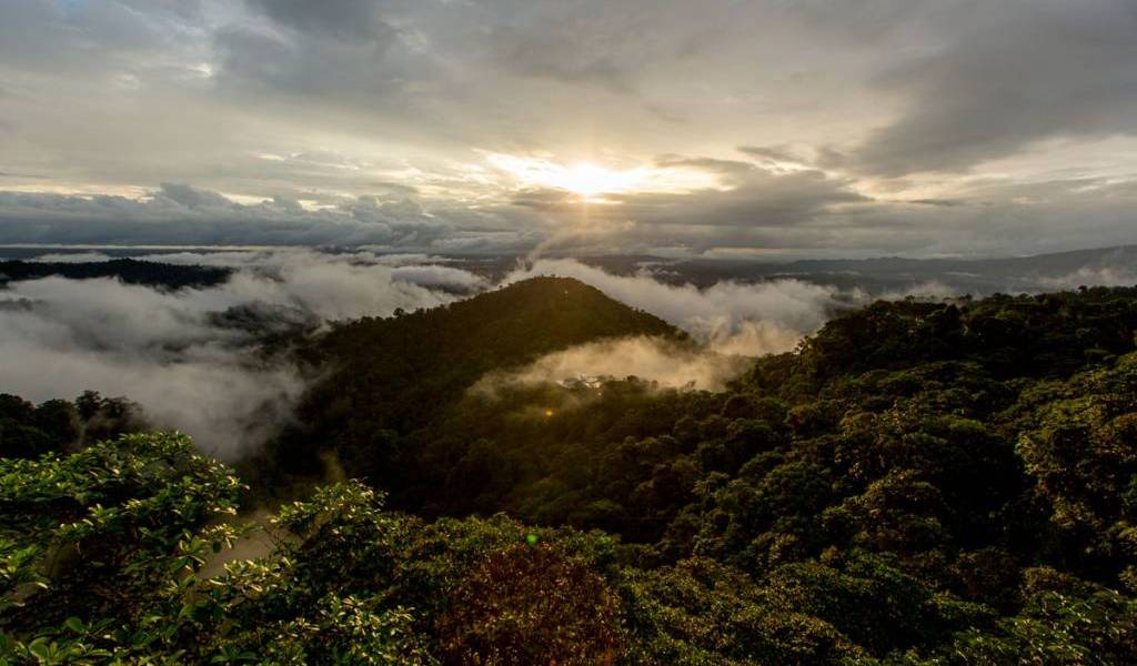 El Chocó Andino podría ser declarado ‘Reserva de Biósfera’