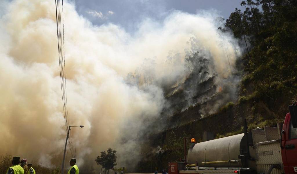 Incendios forestales provocados por actividades humanas no cesan