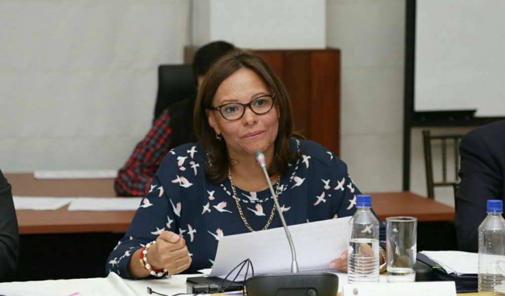Alianza PAIS respalda a Elizabeth Cabezas para titular de la Asamblea Nacional