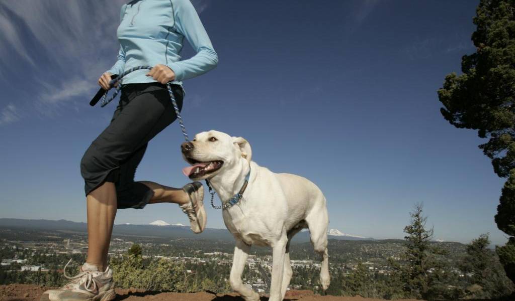 5 Razones para correr con tu perro
