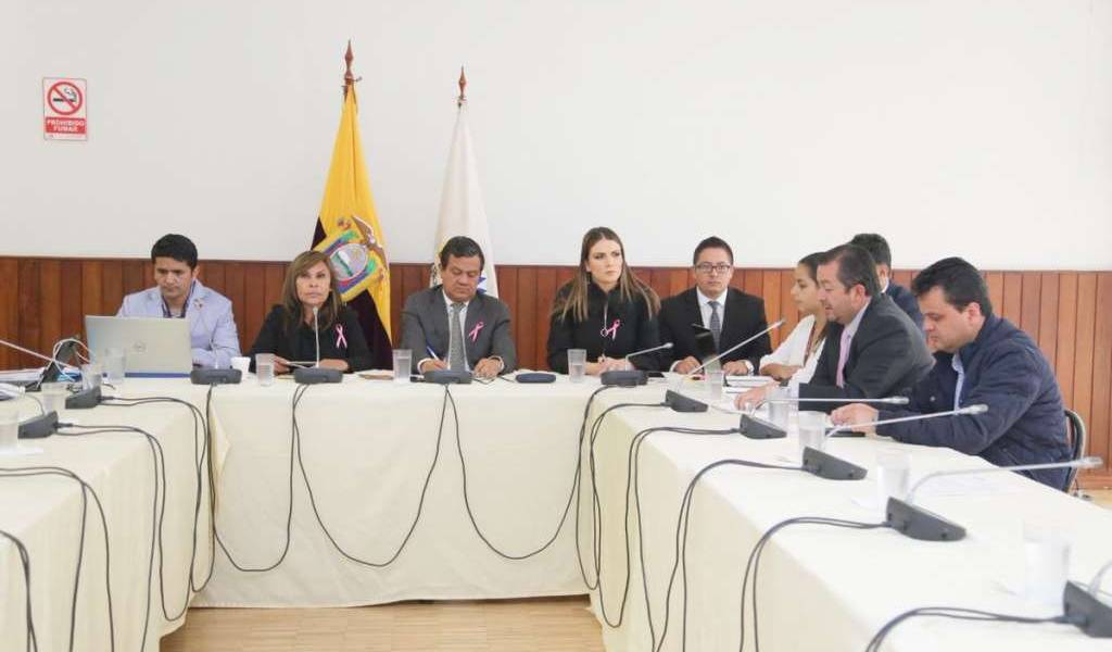 Norma Vallejo vulneró derechos laborales, según asambleísta Villamar