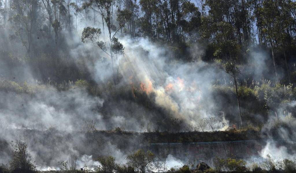 Incendio de gravedad en Checa, nororiente de Quito