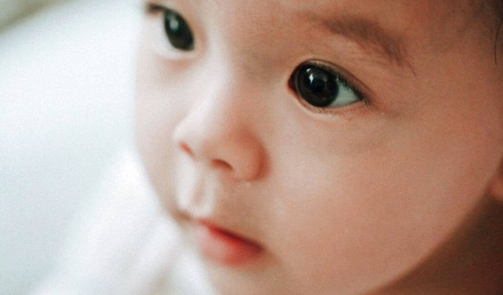 Bebé Gerber 2019 es una bebé hmong de Carolina del Norte