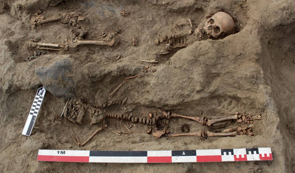 Hallan 227 restos de niños sacrificados en ritual precolombino en Perú