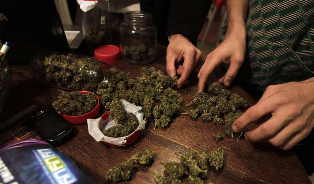 Uruguay abre registro a clubes de cannabis