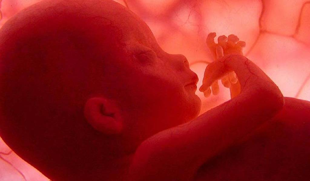 Científicos piden a expertos chinos que dejen de &quot;alterar&quot; embriones humanos