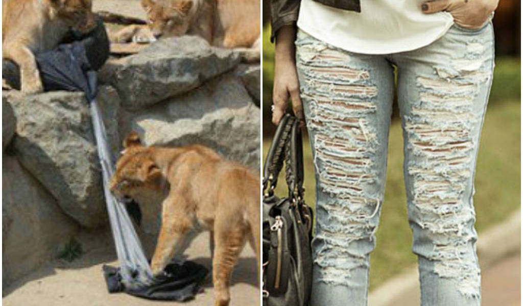 Leones y tigres son “diseñadores” para una marca de jeans en Japón