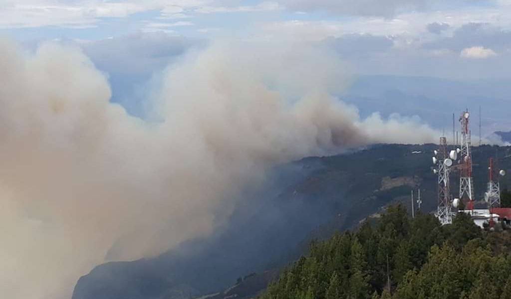 200 hectáreas consumidas tras incendio forestal en cantón Chilla