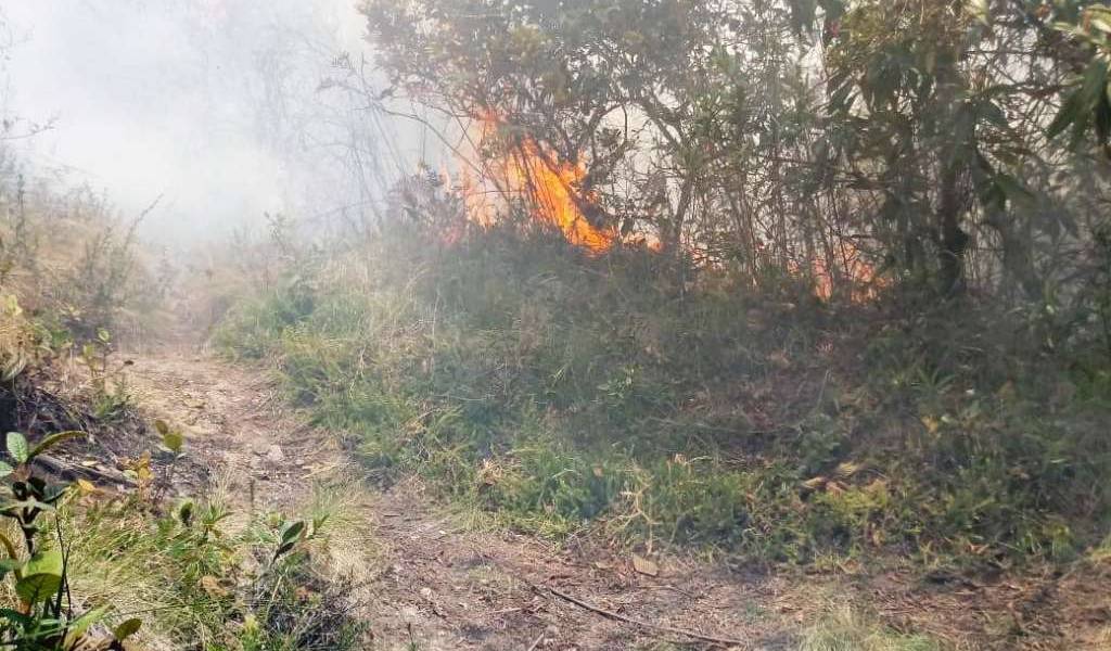 Perú: controlan incendio forestal en Machu Picchu