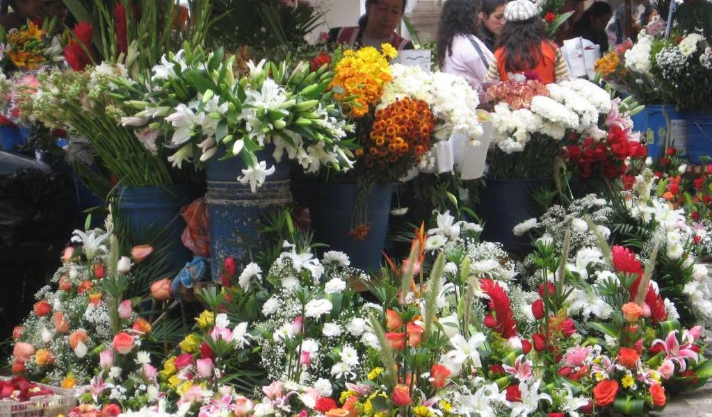 Cuenca también tiene un notable espacio para las flores