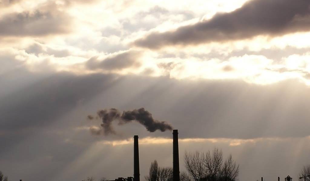 ONG Amigos de la Tierra pide reducciones de carbon