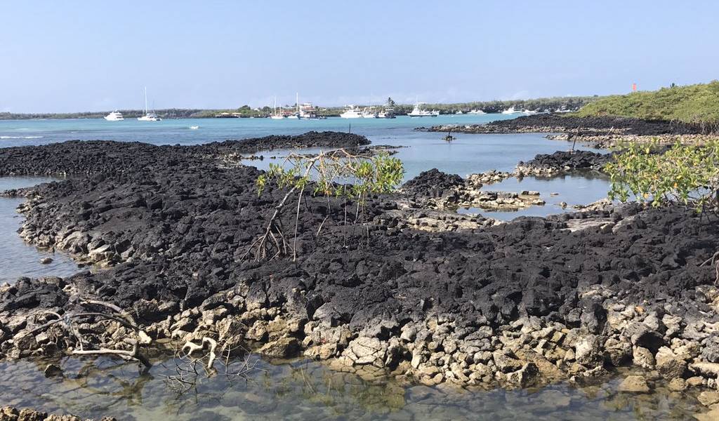 22 toneladas de residuos han sido retiradas de Galápagos
