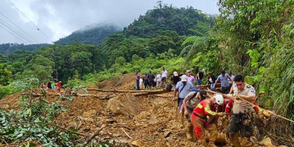 Azuay: Una persona falleció por deslizamiento de tierra en Ponce Enríquez