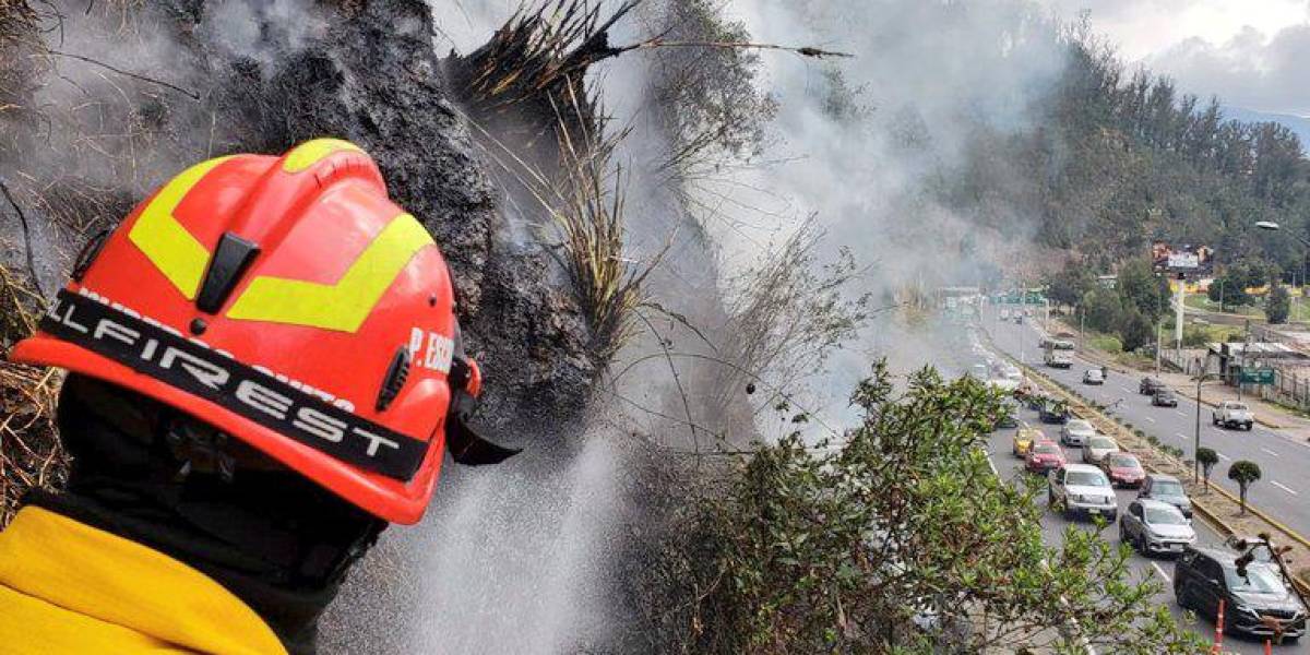 Quito: Bomberos controlaron incendio en la Autopista General Rumiñahui este 31 de agosto