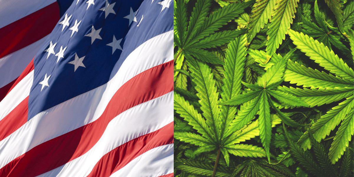 Estados Unidos considerará a la marihuana como droga de bajo riesgo