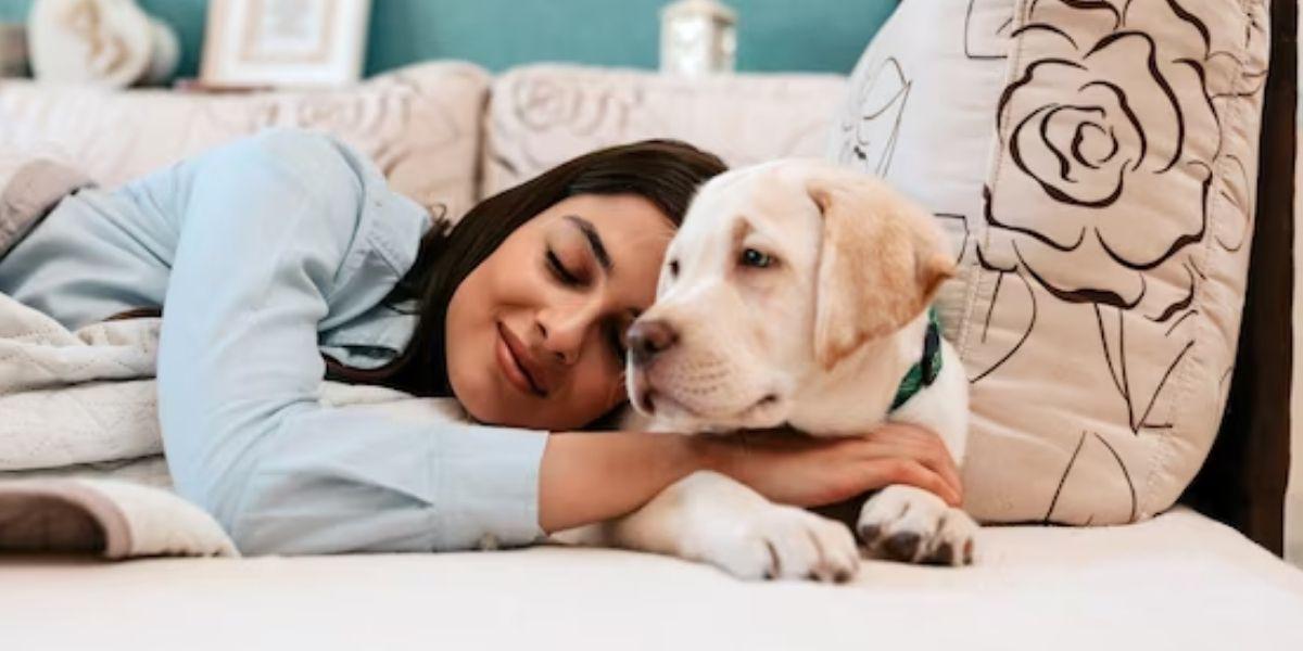 Estos son los peligros de dormir con tu mascota, según la ciencia