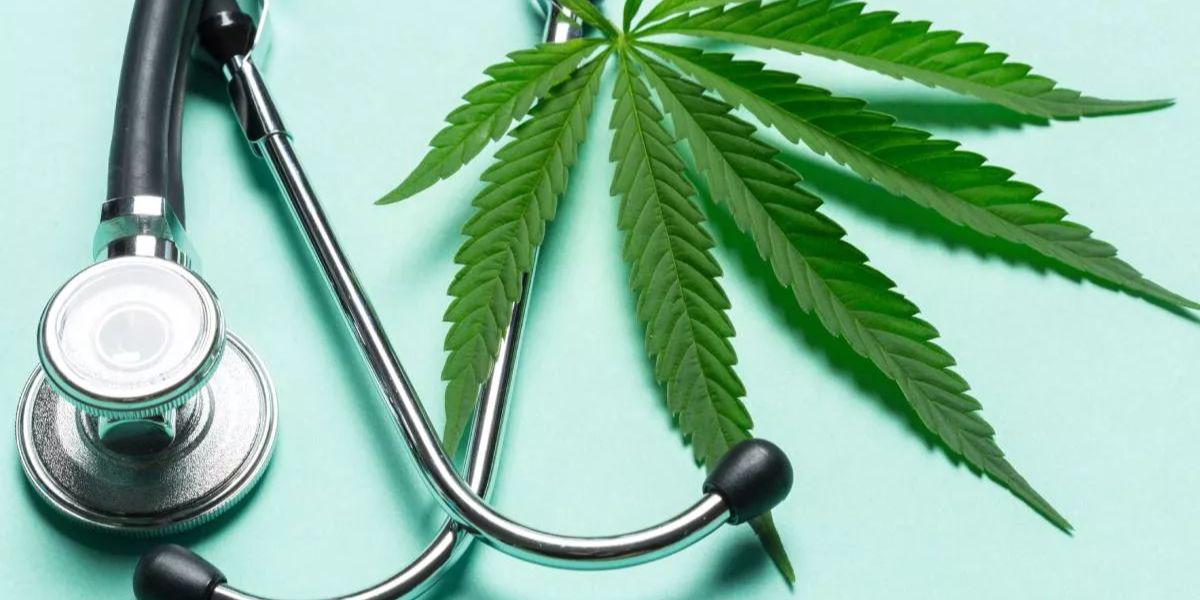 El cannabis: ¿cuáles son los beneficios médicos de la polémica planta?