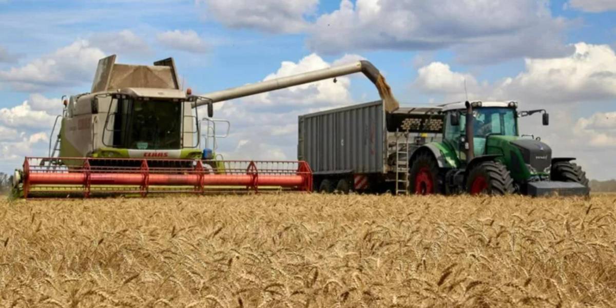 Ucrania y Rusia acuerdan desbloquear la exportación de cereales ucranianos
