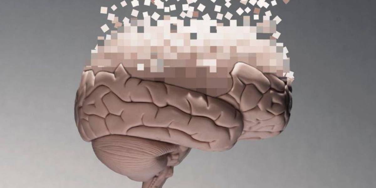Cómo el cerebro humano se reconfigura a partir de los 40 años y cómo mantenerlo saludable a esa edad