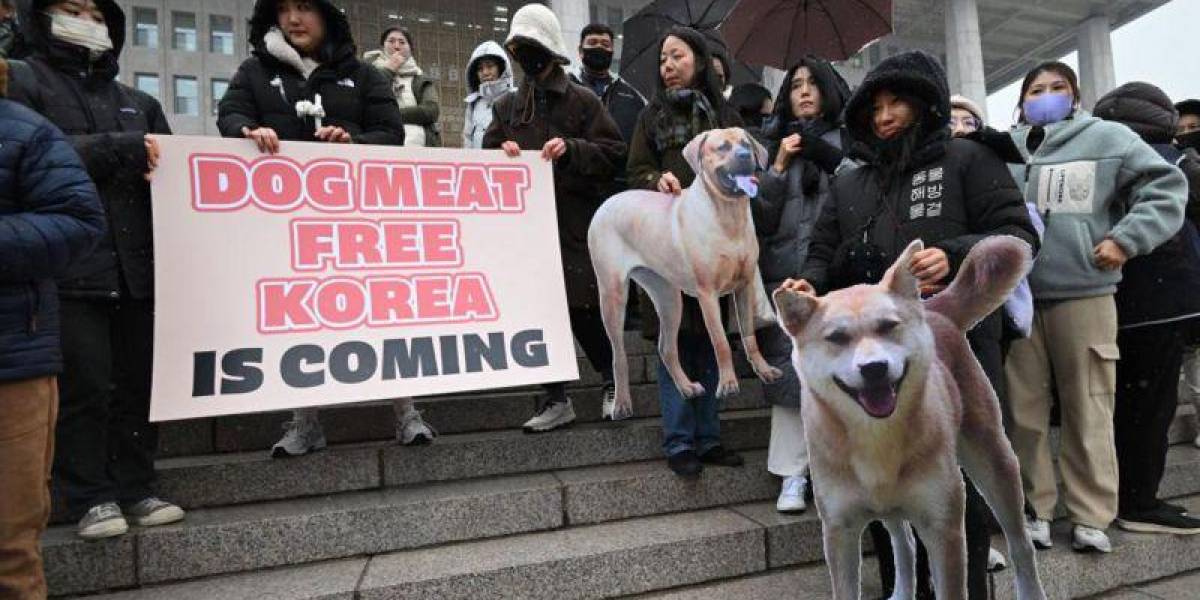 Corea del Sur prohíbe la venta de carne de perro pese a la oposición de las viejas generaciones