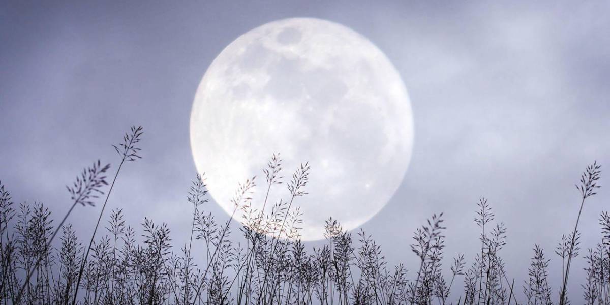 ¿Qué es la Luna de Nieve? El fenómeno que se podrá observar en Ecuador este sábado 24 de febrero