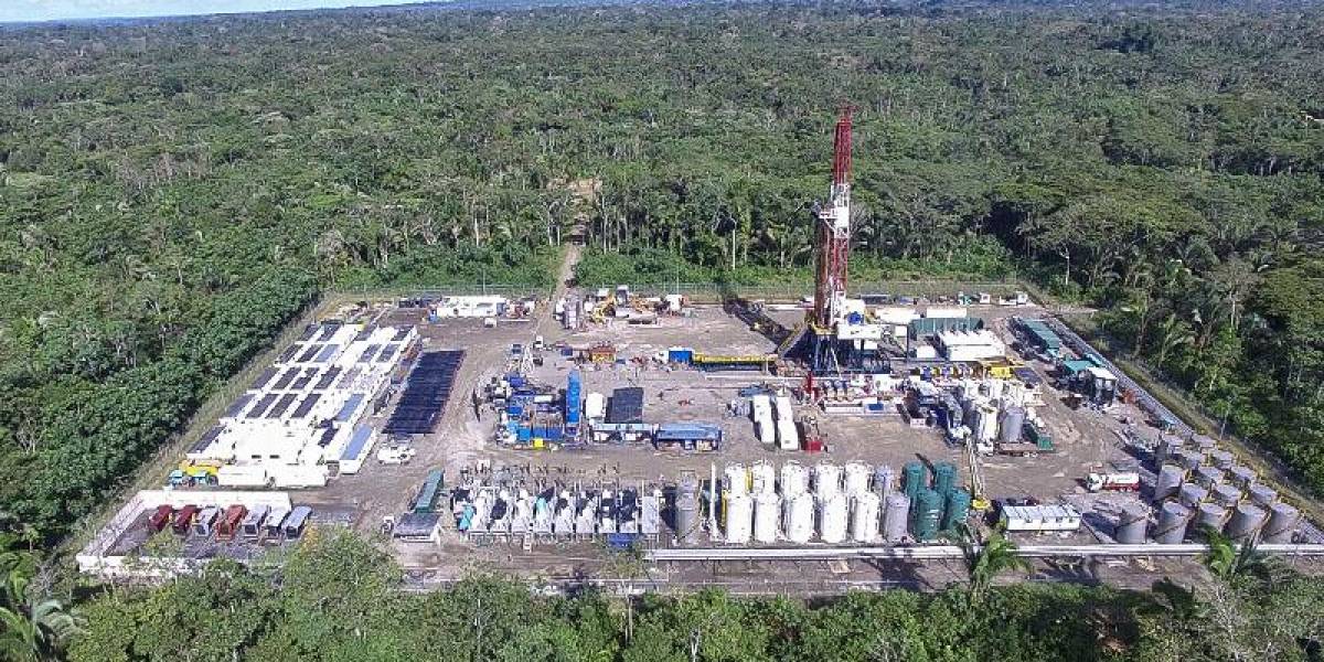 El Gobierno crea un comité para el retiro progresivo de las actividades petroleras en el Yasuní-ITT