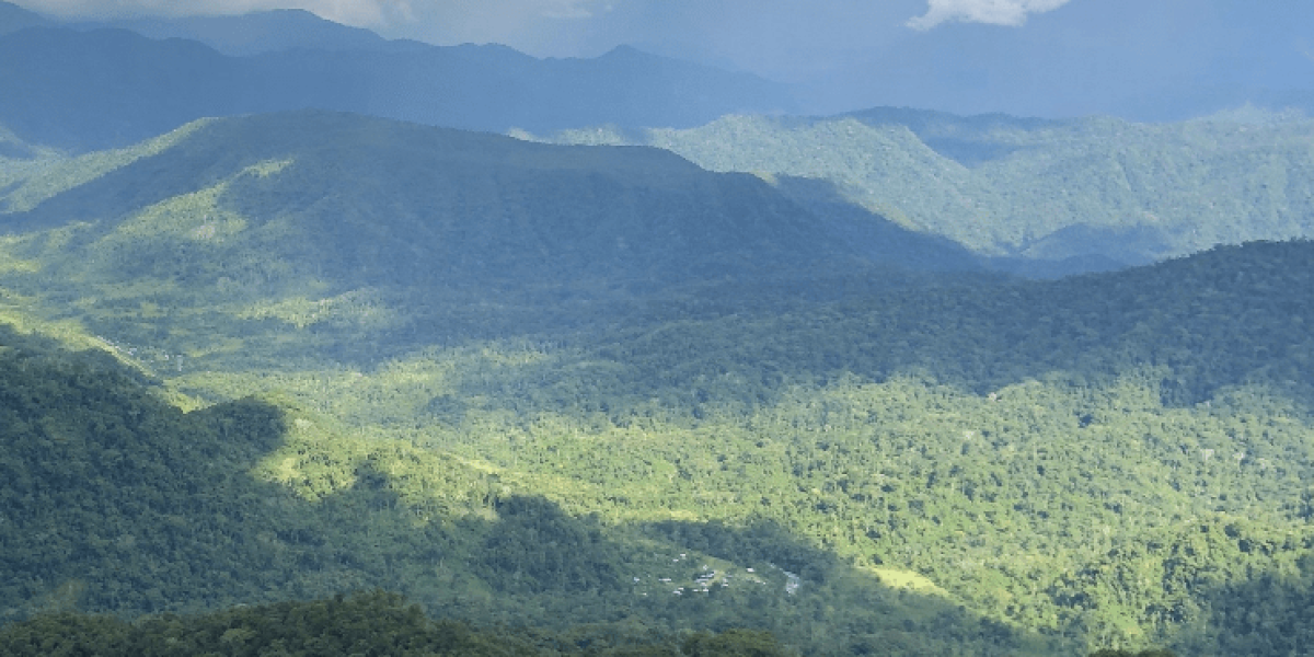 Más de 39 000 hectáreas se explorarán en la Amazonía por su potencial minero