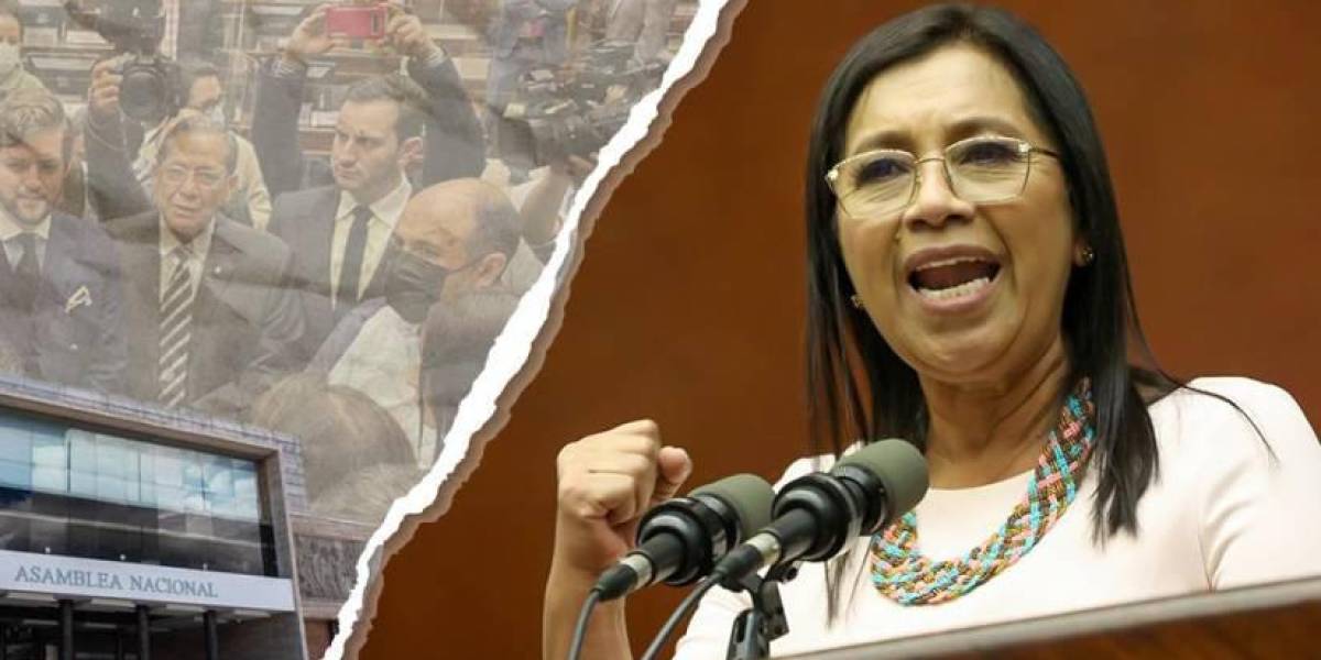 A Guadalupe Llori le negaron la acción de protección