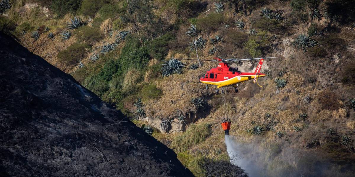 Incendios forestales Quito: ¿Por qué los helibaldes no son el primer recurso para combatir el fuego?