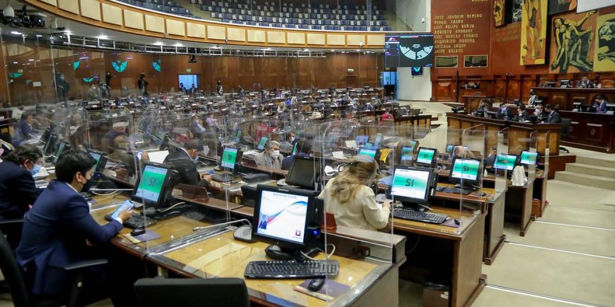 Resultados elecciones asambleístas 2023: el correísmo debe aliarse para lograr una mayoría Legislativa