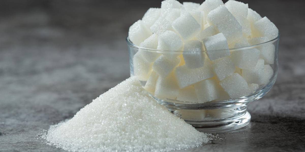 Niveles de azúcar en la sangre: ¿Qué es lo normal para un adulto mayor?